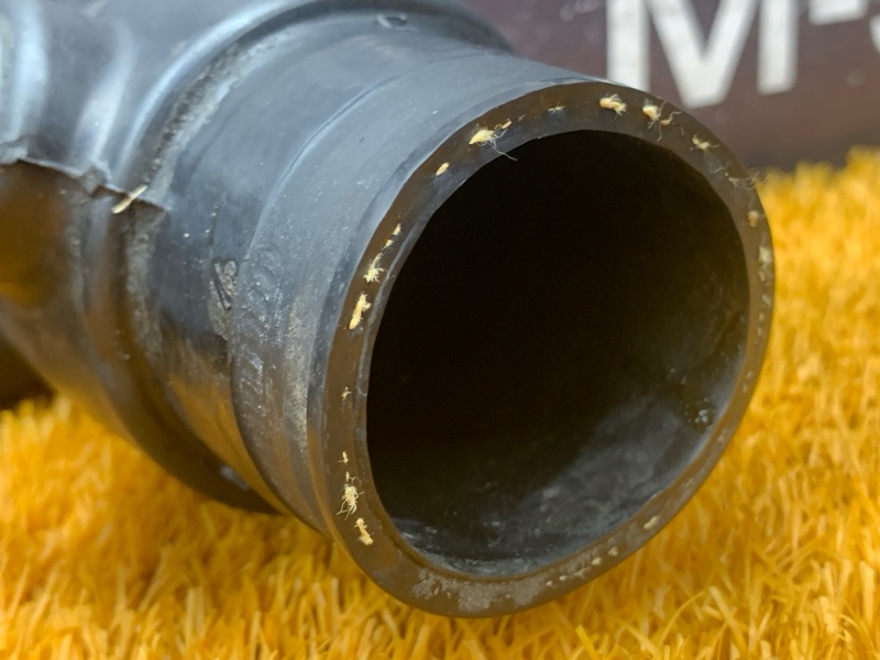 Патрубок интеркулера, 1000 рублей, Красноярск