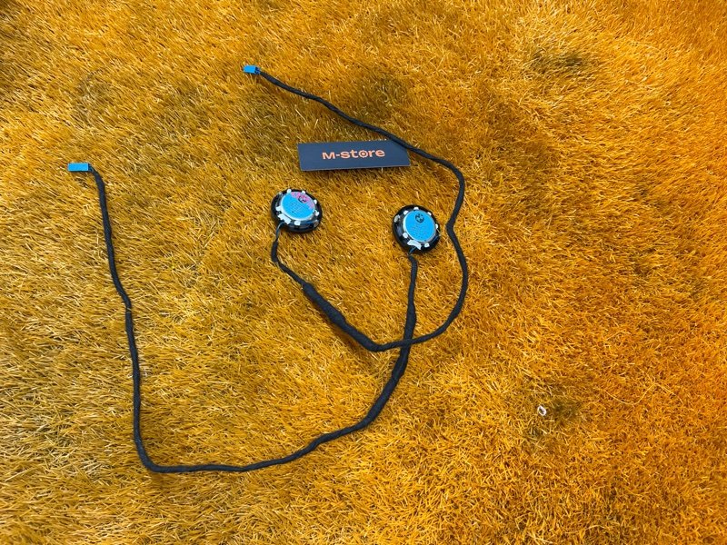 Динамик, 2000 рублей, Красноярск