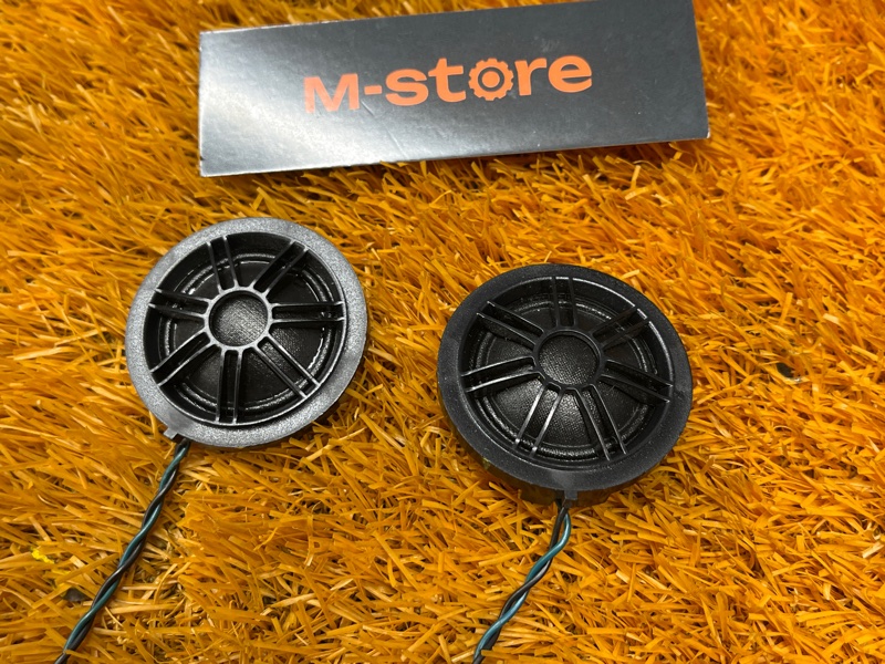 Динамик, 1000 рублей, Красноярск