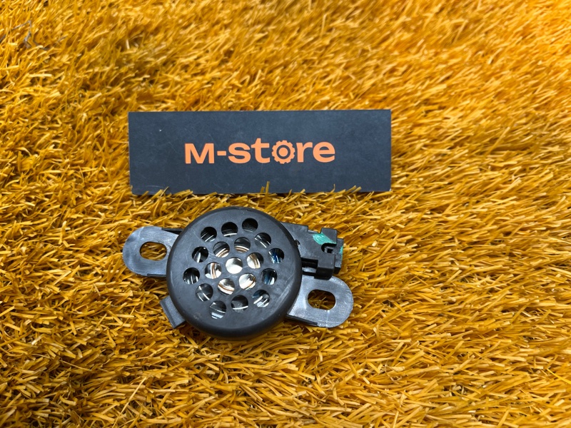 Динамик (парктроников ), 500 рублей, Красноярск