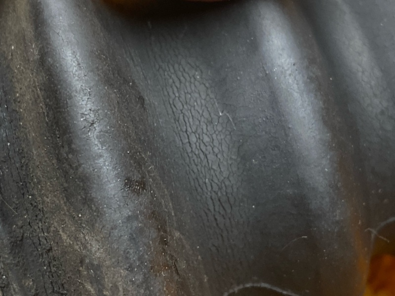 привод, 2500 рублей, Красноярск