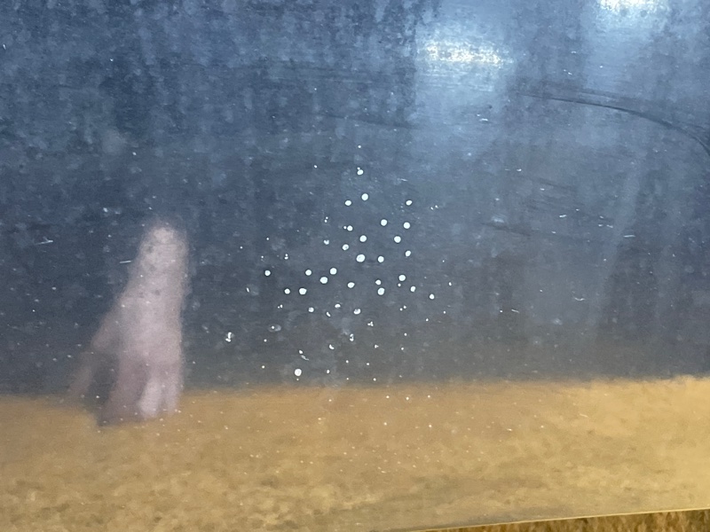 капот, 14000 рублей, Красноярск