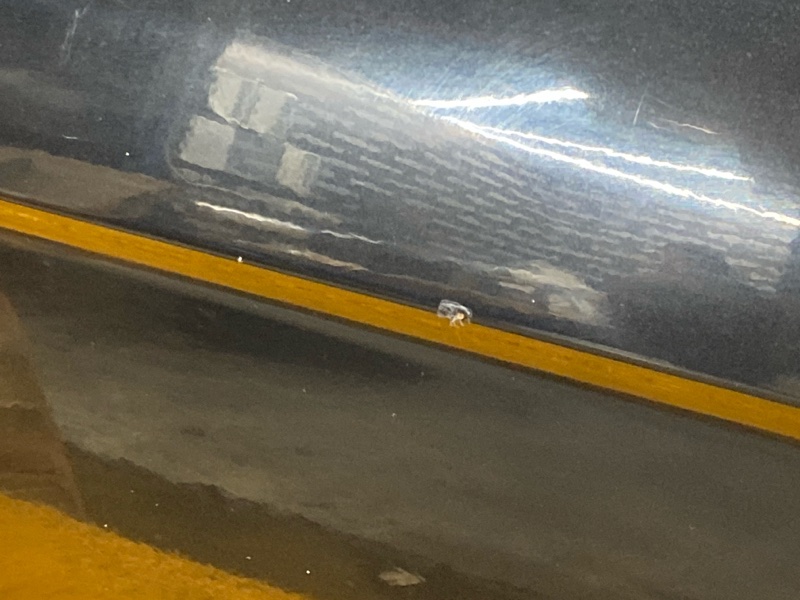 дверь, 12000 рублей, Красноярск