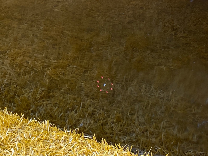 дверь, 12000 рублей, Красноярск