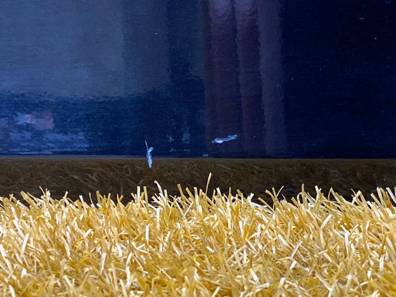 дверь, 13500 рублей, Красноярск