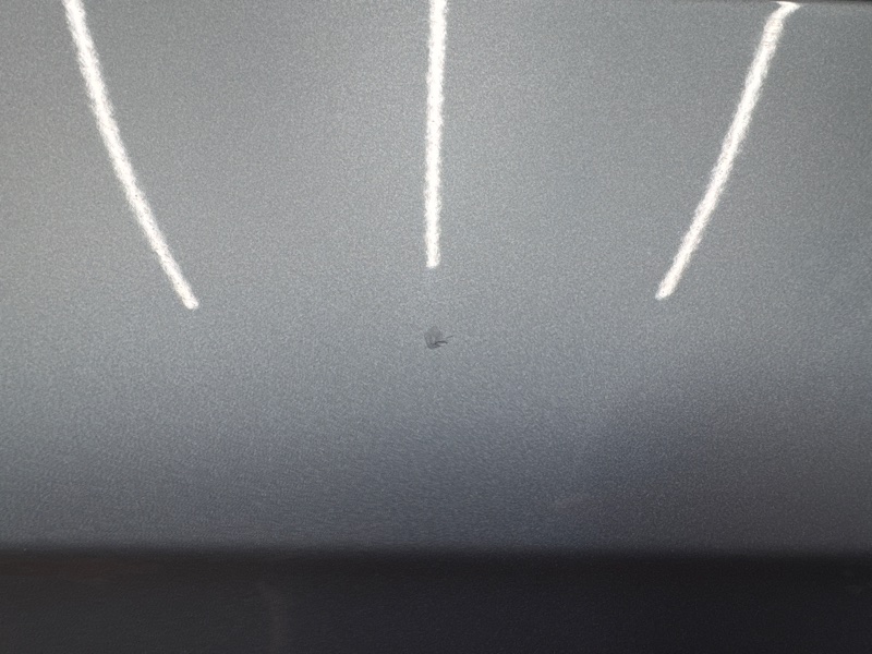 дверь, 30000 рублей, Красноярск