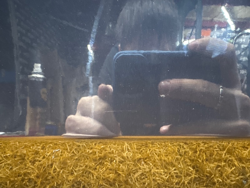 дверь, 6500 рублей, Красноярск