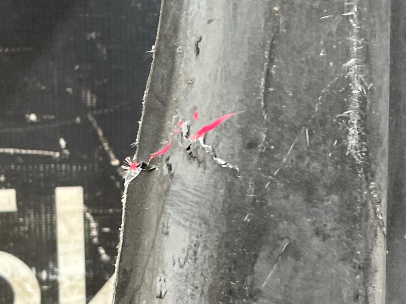 Защита АКПП, 900 рублей, Красноярск