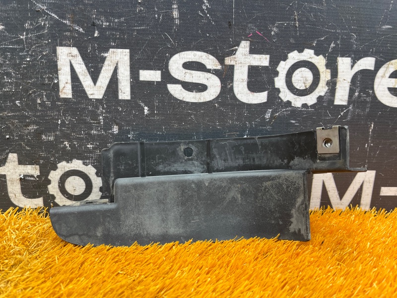 Брызговик, 1000 рублей, Красноярск