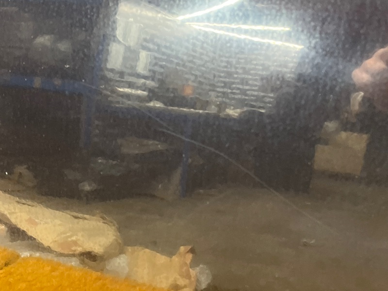 дверь, 24000 рублей, Красноярск