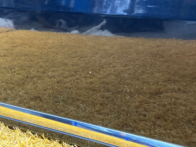 дверь, 19000 рублей, Красноярск