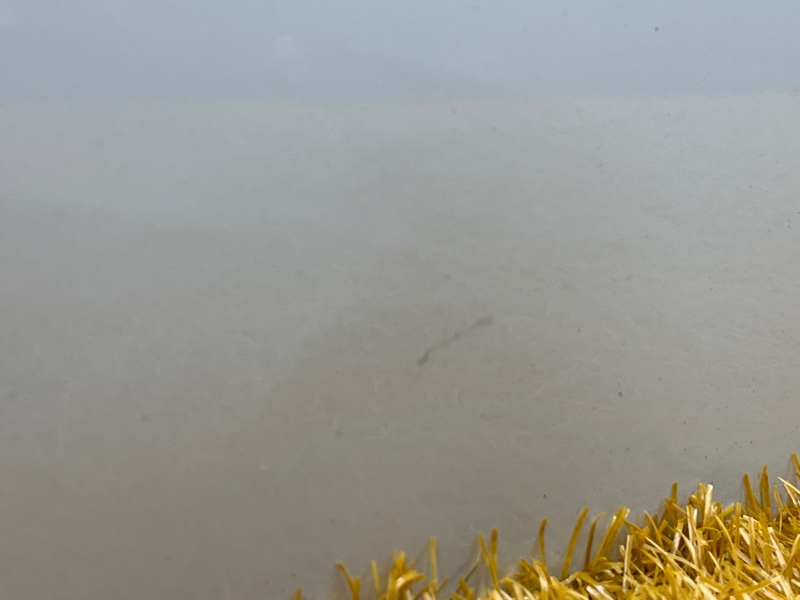 дверь, 8000 рублей, Красноярск