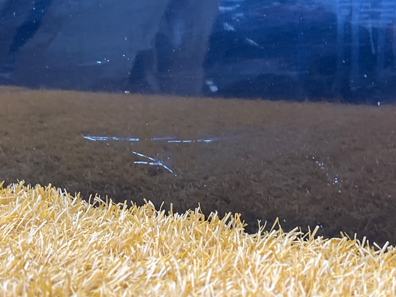 дверь, 3500 рублей, Красноярск