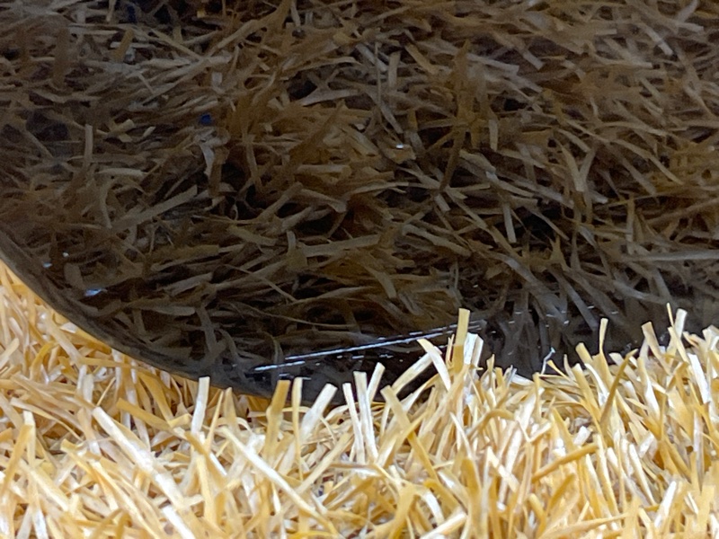 дверь, 3500 рублей, Красноярск