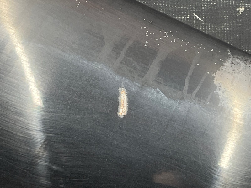 крыло, 12000 рублей, Красноярск