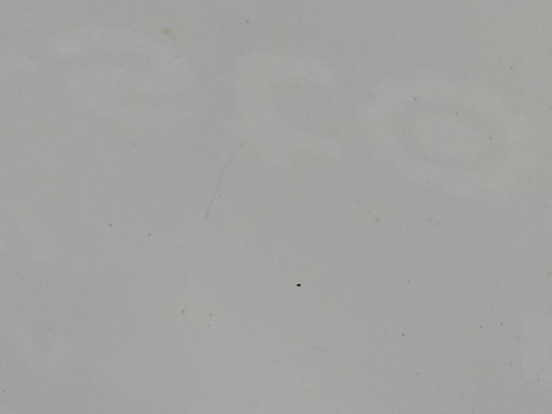 Крышка (дверь) багажника, 3000 рублей, Красноярск