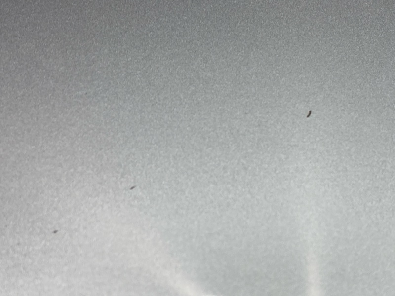 крышка багажника, 13000 рублей, Красноярск