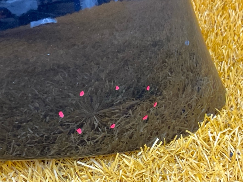 крыло, 7000 рублей, Красноярск