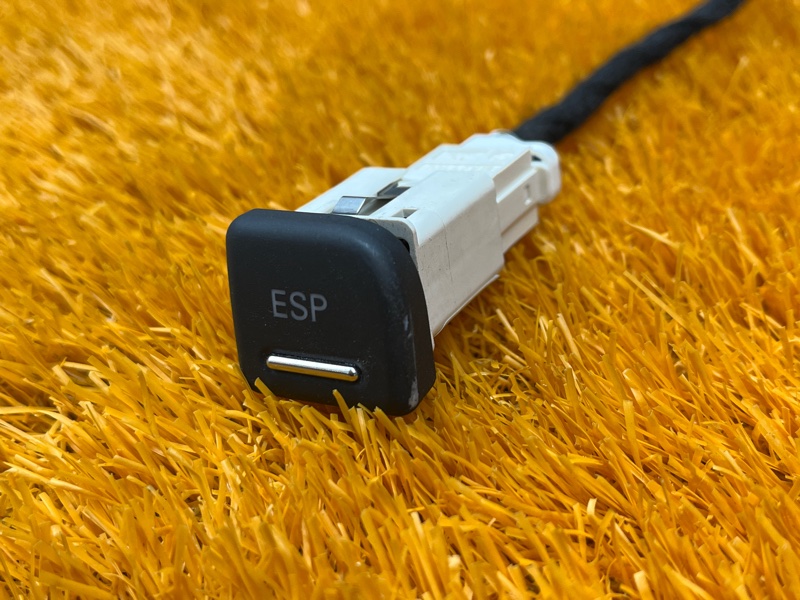 кнопка ESP, 300 рублей, Красноярск