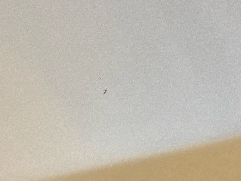 капот, 20000 рублей, Красноярск