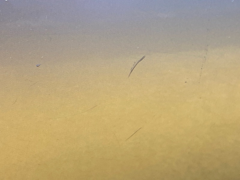 бампер, 5500 рублей, Красноярск