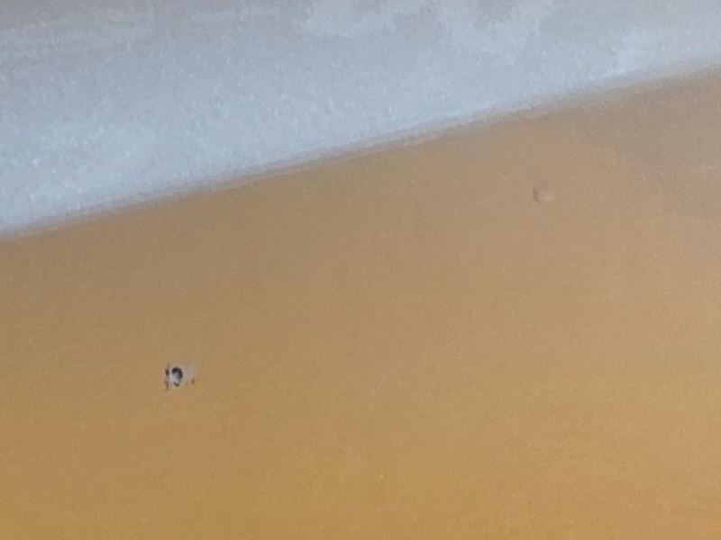 бампер, 5000 рублей, Красноярск