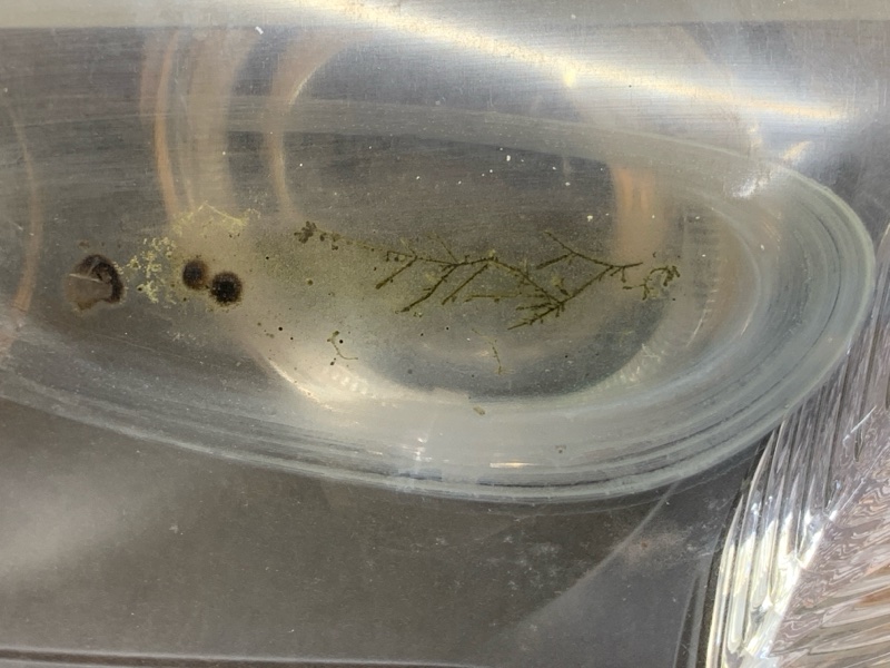 фара, 15000 рублей, Красноярск