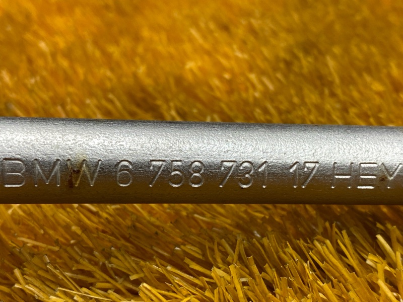 Балонник, 1000 рублей, Красноярск