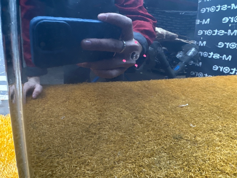 дверь, 4500 рублей, Красноярск