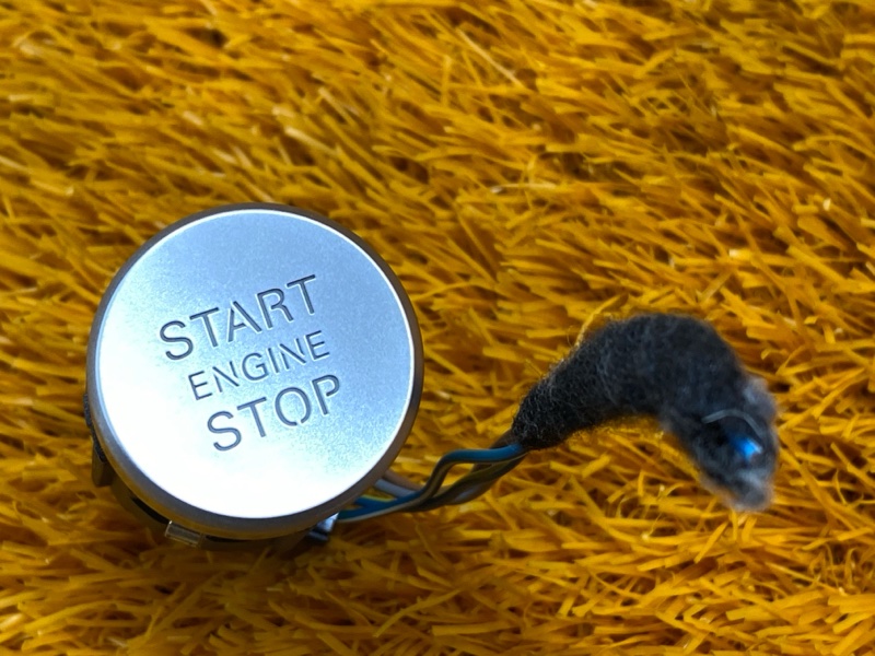 Кнопка Старт-Стоп, 1000 рублей, Красноярск