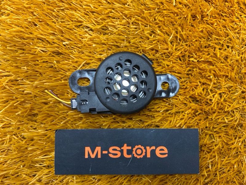 Динамик (парктроников ), 1000 рублей, Красноярск