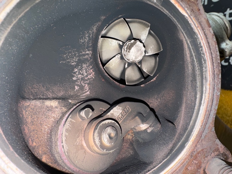 Турбина, 28000 рублей, Красноярск