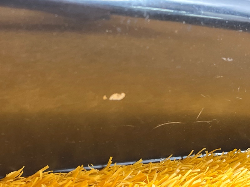 Накладка двери, 3500 рублей, Красноярск