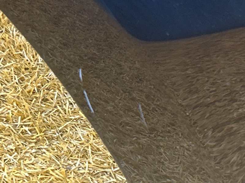 крыло, 26000 рублей, Красноярск