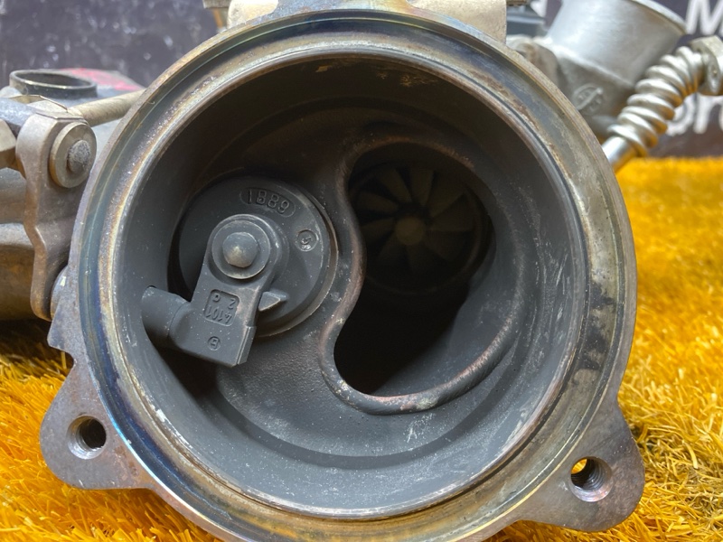 Турбина, 38000 рублей, Красноярск