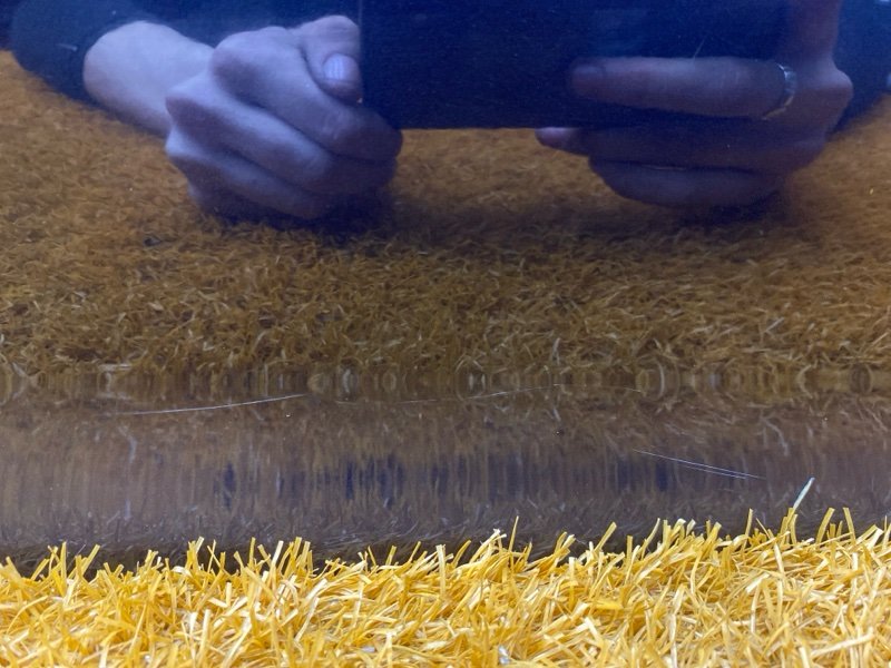 дверь, 12000 рублей, Красноярск