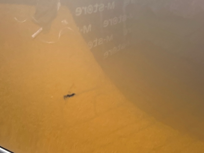 бампер, 11000 рублей, Красноярск