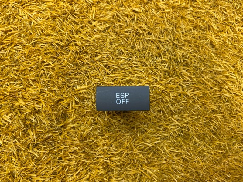 кнопка ESP, 200 рублей, Красноярск