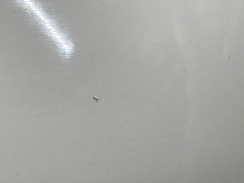 зеркало, 18000 рублей, Красноярск