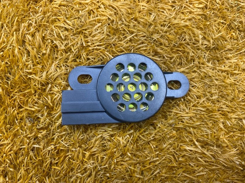 Динамик (парктроников ), 300 рублей, Красноярск