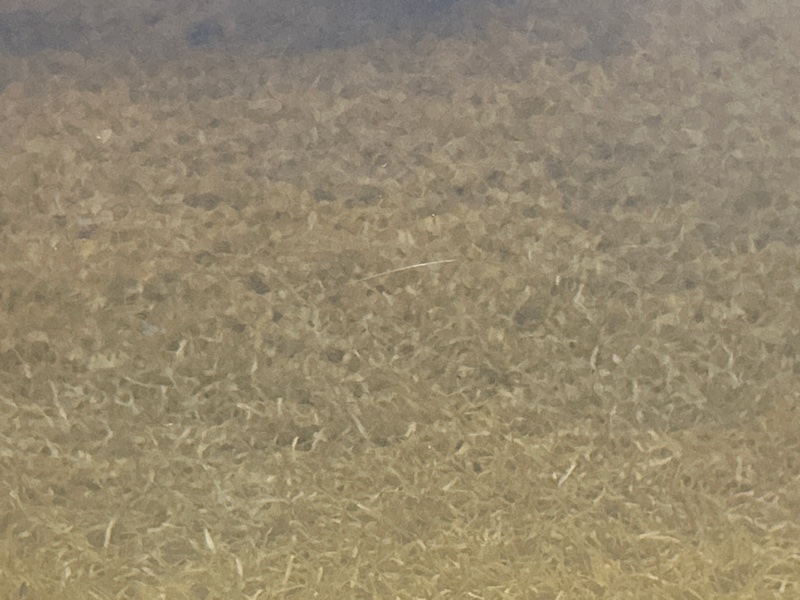 дверь, 7000 рублей, Красноярск