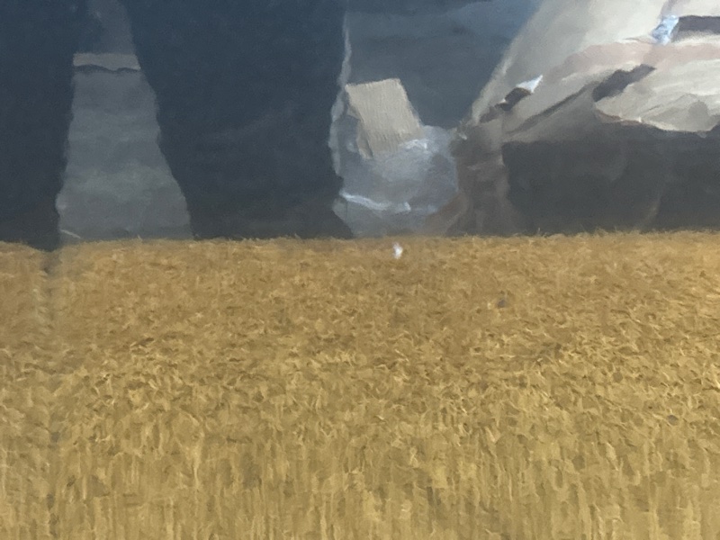 дверь, 4000 рублей, Красноярск