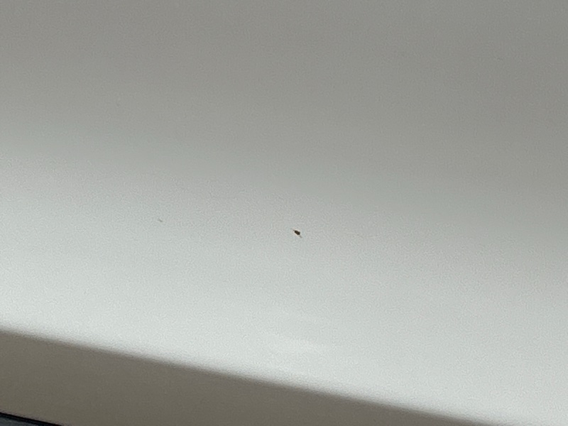 дверь, 22000 рублей, Красноярск