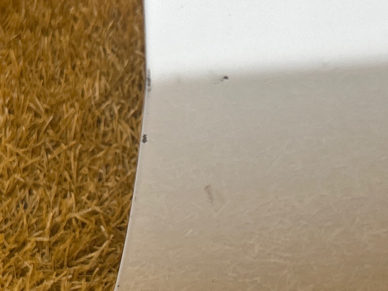 дверь, 55000 рублей, Красноярск