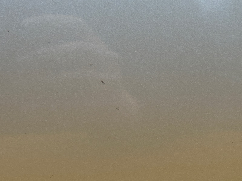 дверь, 4500 рублей, Красноярск