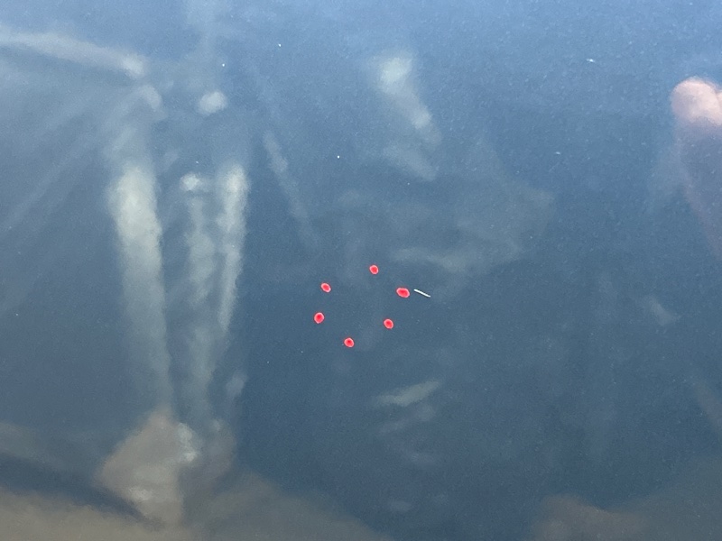 дверь, 10000 рублей, Красноярск