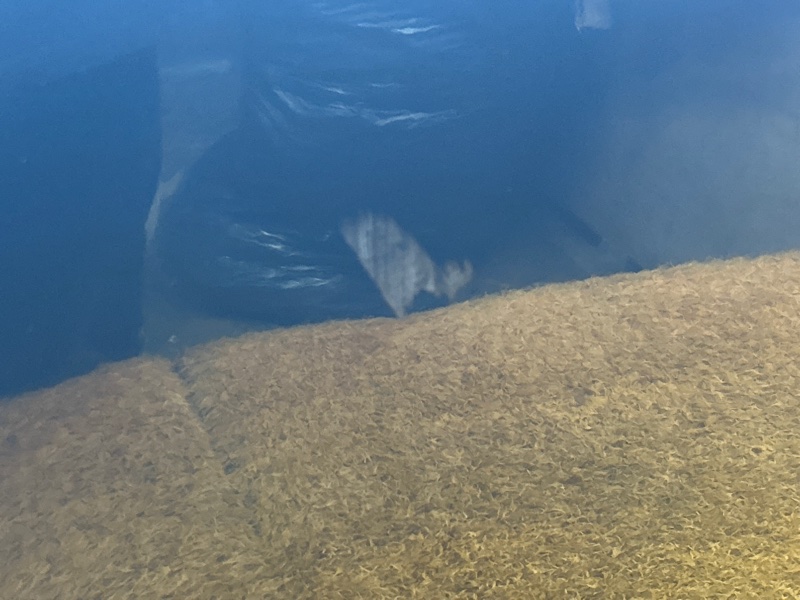 дверь, 9000 рублей, Красноярск