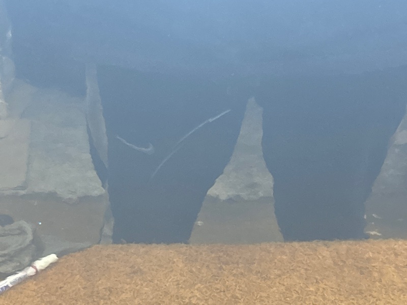 дверь, 9000 рублей, Красноярск