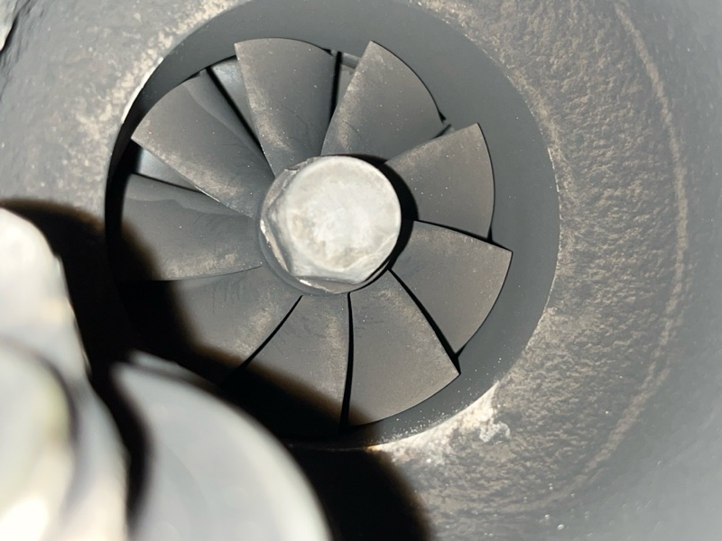 Турбина, 23000 рублей, Красноярск