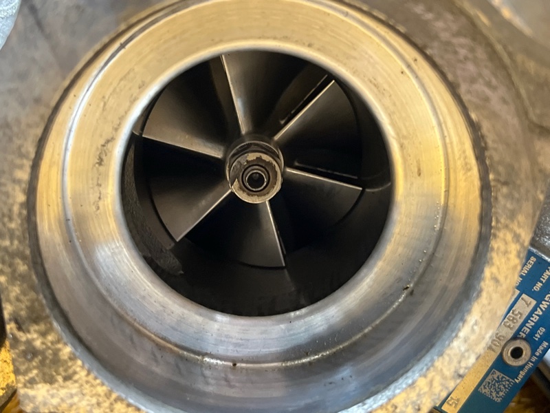 Турбина, 19000 рублей, Красноярск